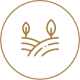Luxury Acreages